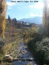 Río Frío. Desde el Puente del Nogueral